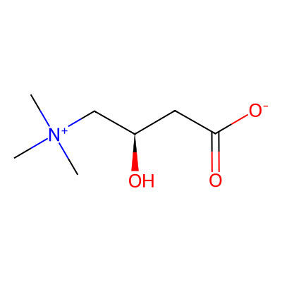 Chemical structure of Levocarnitine (Inhouse)