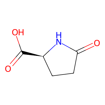 Chemical structure of L-Pyroglutamic Acid